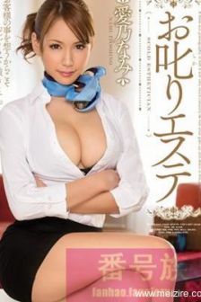 爱乃娜美（爱乃なみ）作品封面番号大全