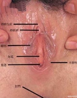 18岁成熟女性外生殖器真人放大实图摄影艺术照片